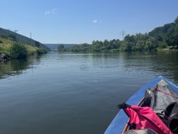 Mainschwimmen Juni 2026